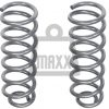 2019-2023 Dodge Ram 1500 Rear Coil Springs (Pair) | 2WD / 4WD | +70% Capacity