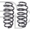 2019-2023 Ford Transit Connect Rear Coil Springs (Pair) | 2WD | +35% Capacity