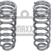 2009-2018 Dodge Ram 1500 Rear Coil Springs (Pair) | 2WD / 4WD | +35% Capacity | Variable Rate